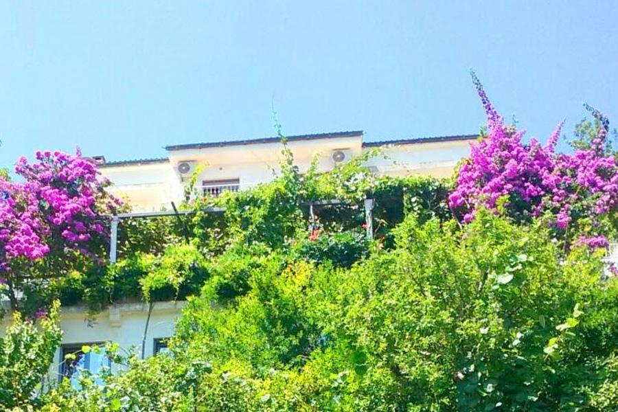 Guest House Madra Будва Экстерьер фото